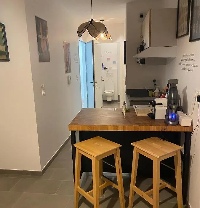 joli petit nid douillet en centre ville-1