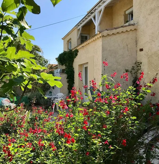 Chambre privative près de l'étang de Thau-1