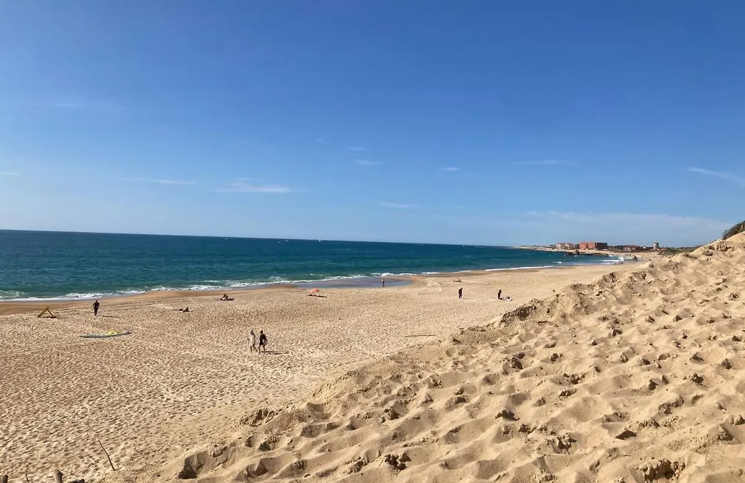 Superbe duplex proche centre et plages-1