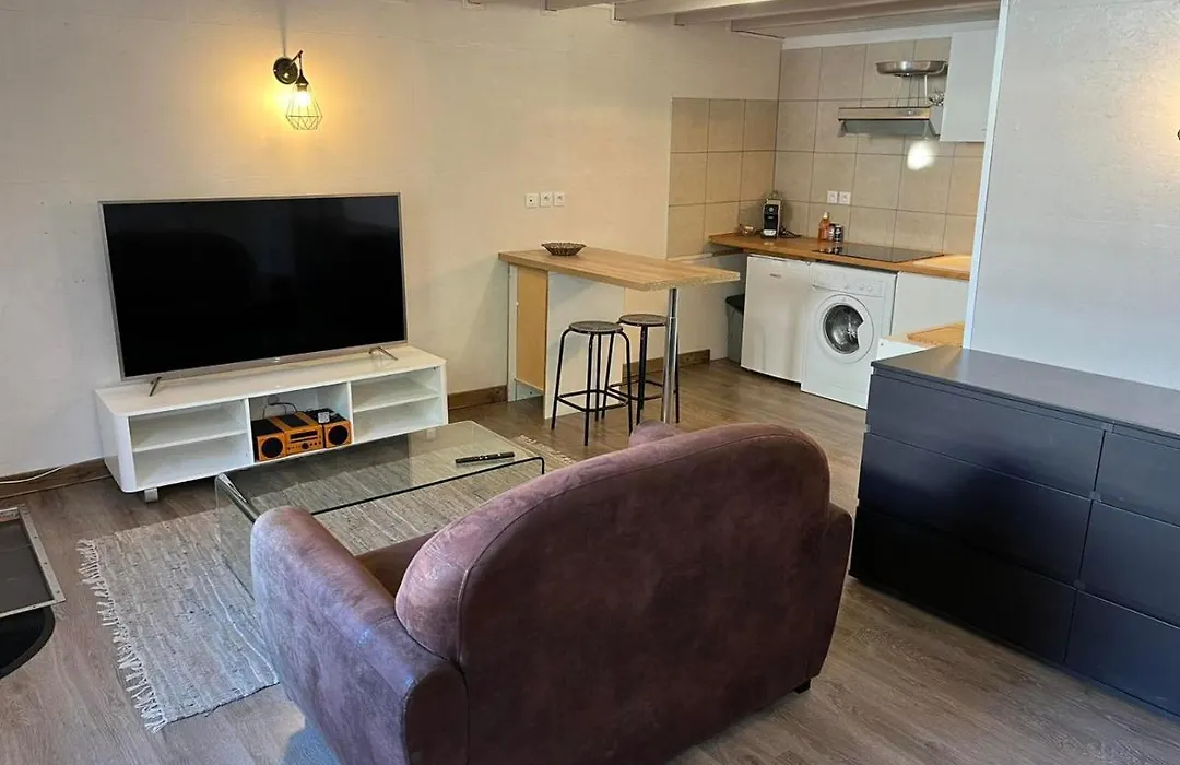 Studio Duplex La Genette Le Mail-1