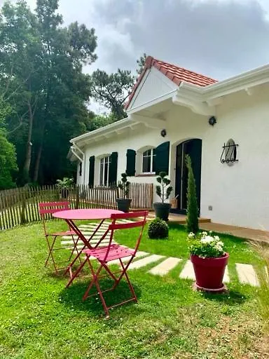 Bons Baisers du Touquet - Villa Caracole-1