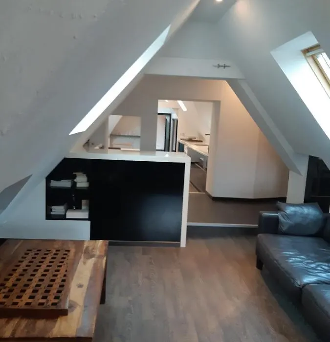 Superbe Loft En Centre-Historique-1