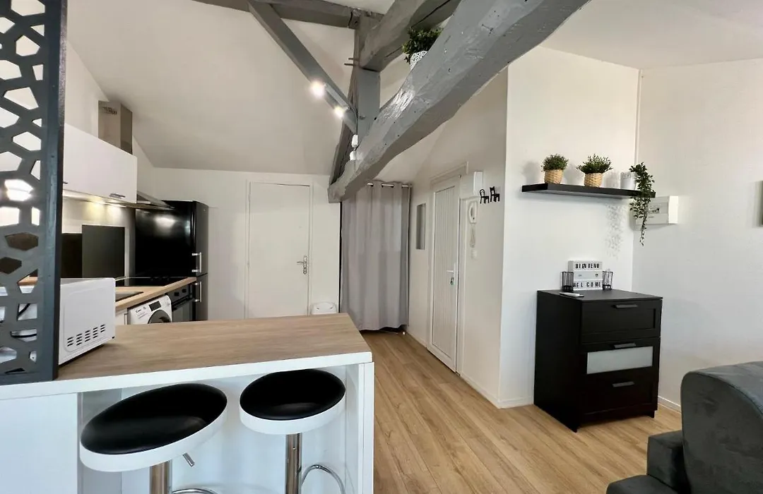 LE MOBILE - Climatisé - Proche de la gare - Centre ville-PROPERTY RENTAL NM-1