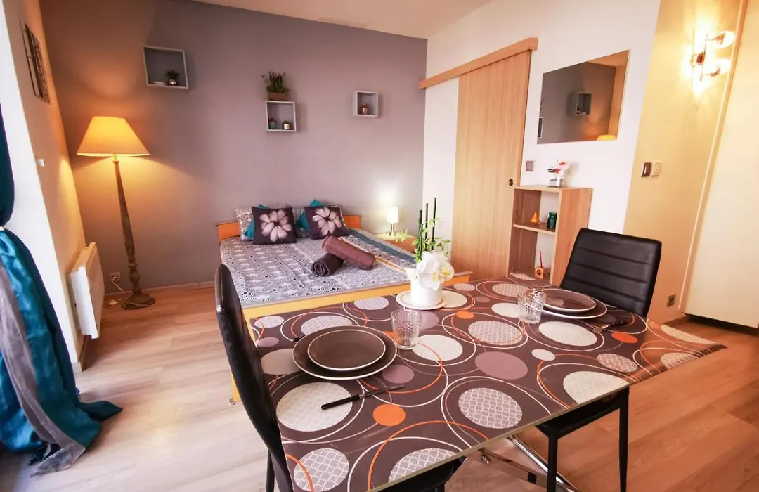 Léman Holidays - Appartement Hyper centre-1