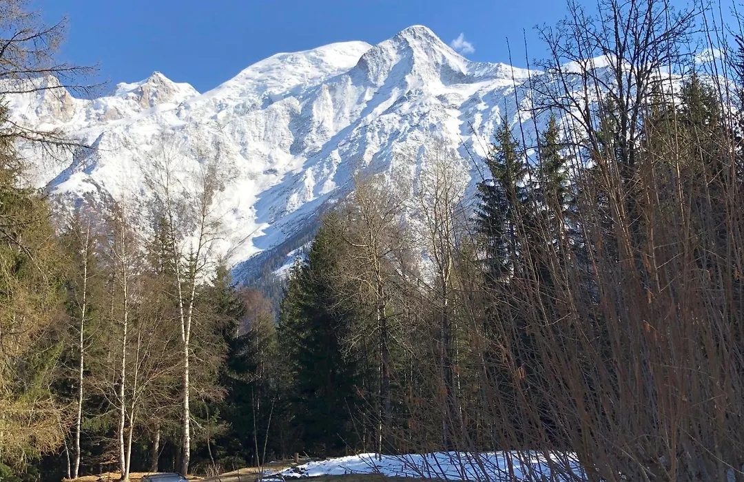 Chamonix Chalets-1