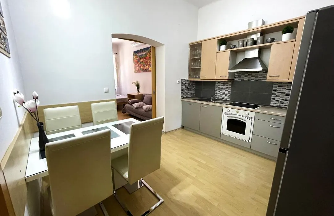 Viktorija City Center Apartment-1