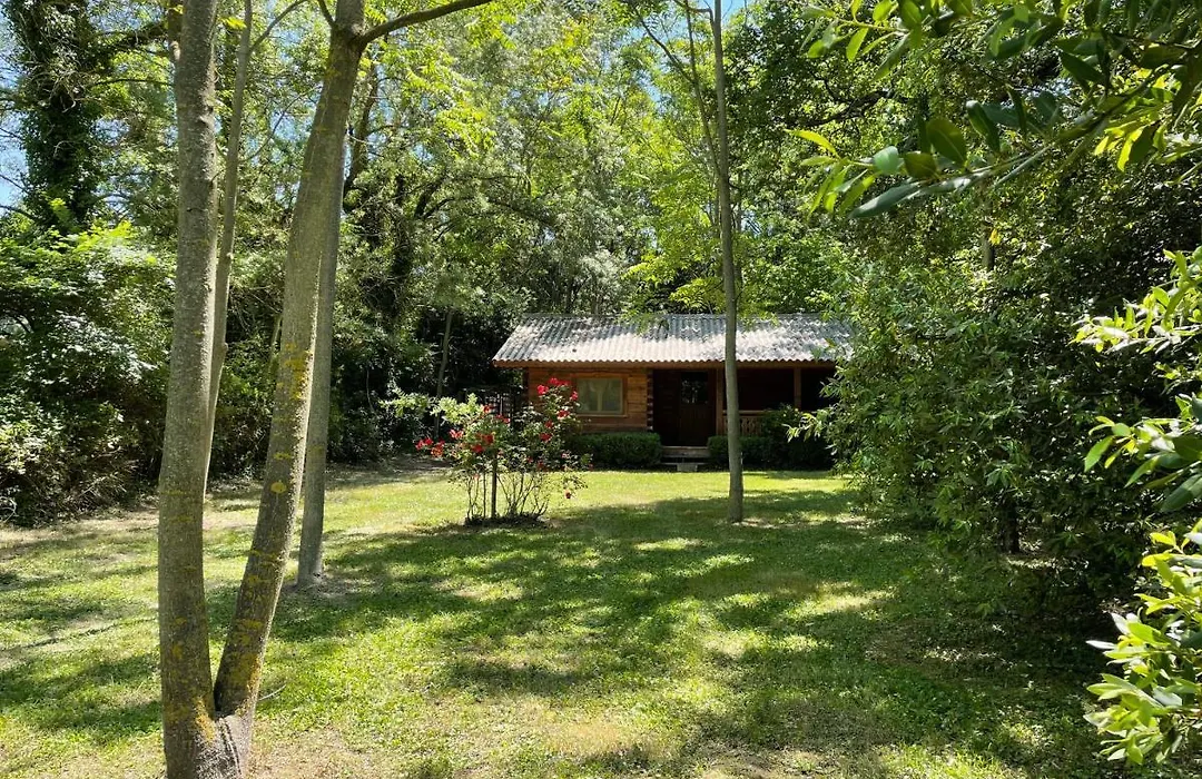 Bastidette Florestane-1