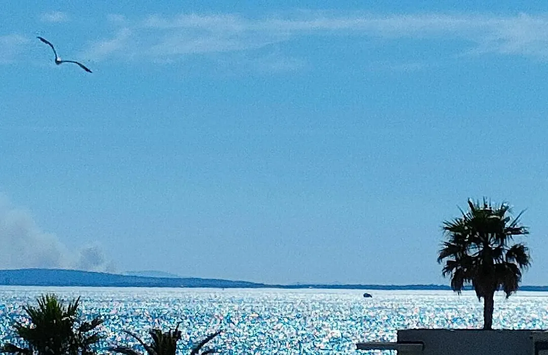 Savanna Beach-1