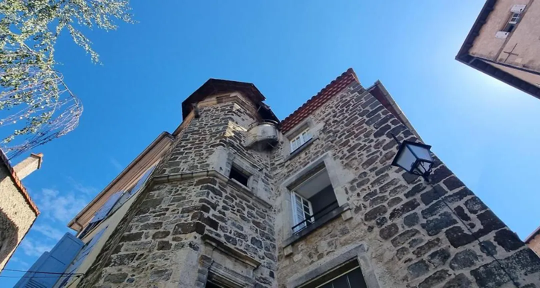 Maison au Loup - Superbe ancien hotel particulier du XVIe siècle au cœur de la vieille ville du Puy-1