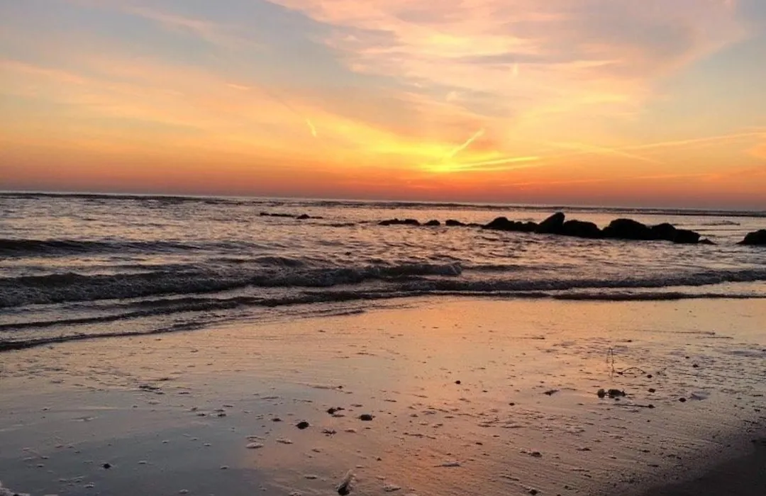 Studio Renove - Wifi, Proche Plage Et Commerces, Entree Independante - Fr-1-646-24-1