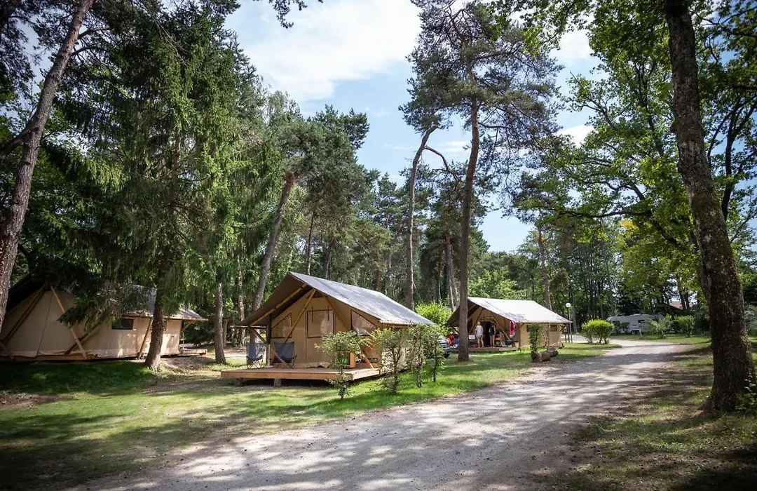 Camping La Pinède-1