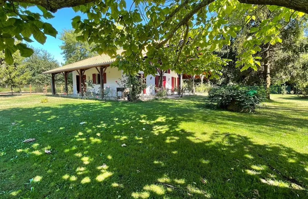 Villa au milieu des pins / bord du lac-1