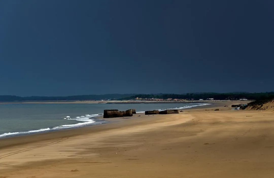 Studio Dunes aux Ecureuils-1