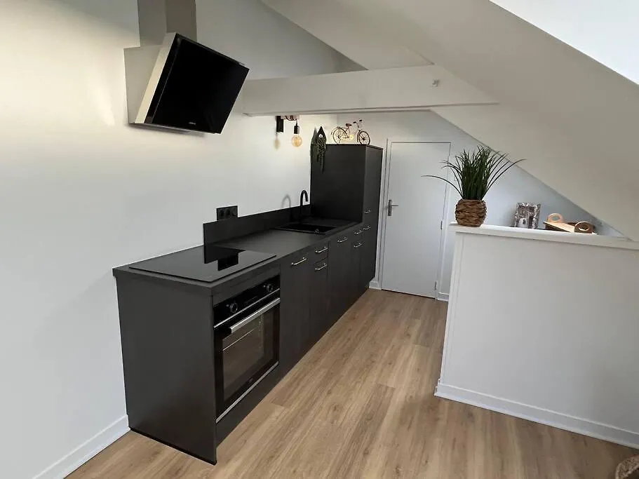 Appartement T3 Coeur De Dinan-1
