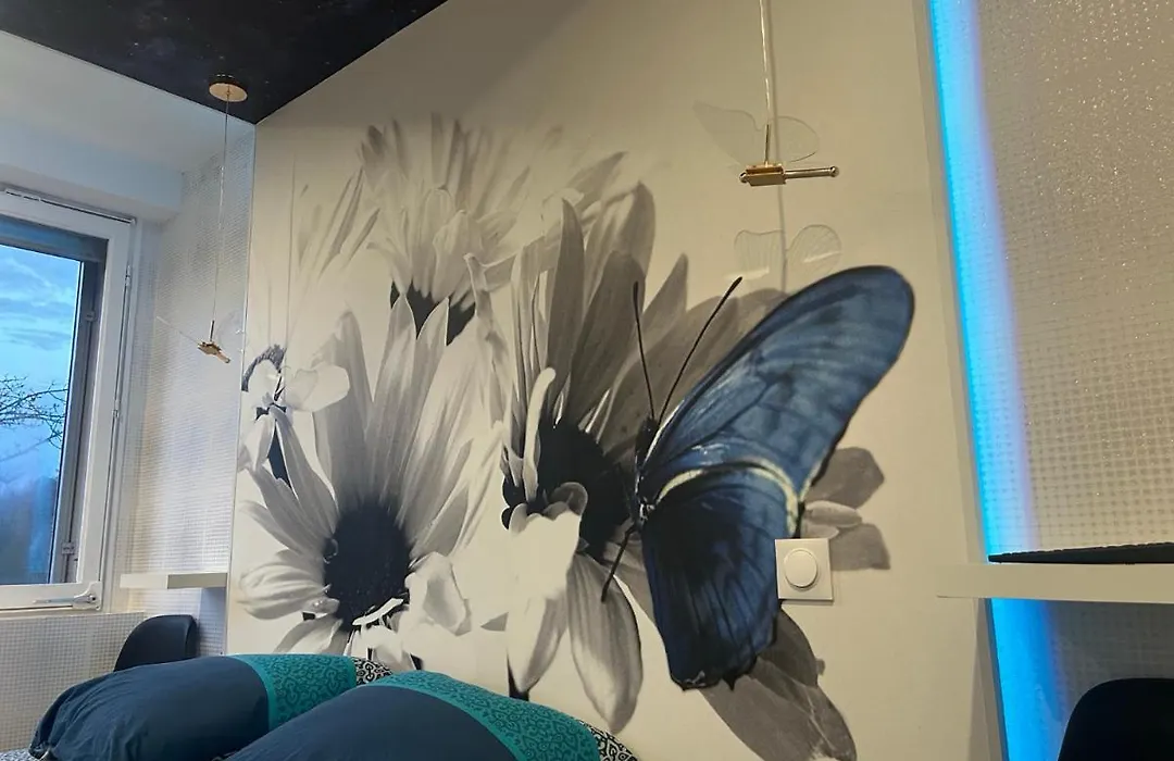 Butterfly-1