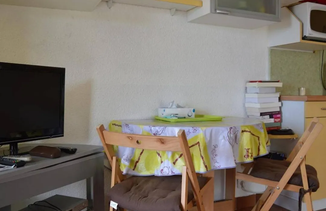 Studio Climatise Avec Terrasse A Saint-Cyprien - Animaux Admis, Parking - Fr-1-225D-434-1