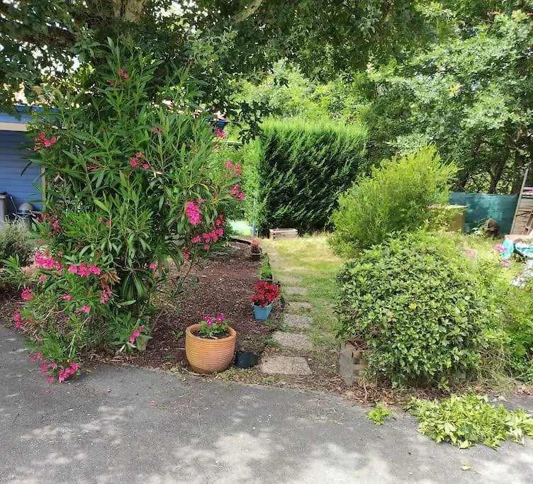 Appartement avec terrasse en lisière de forêt-1