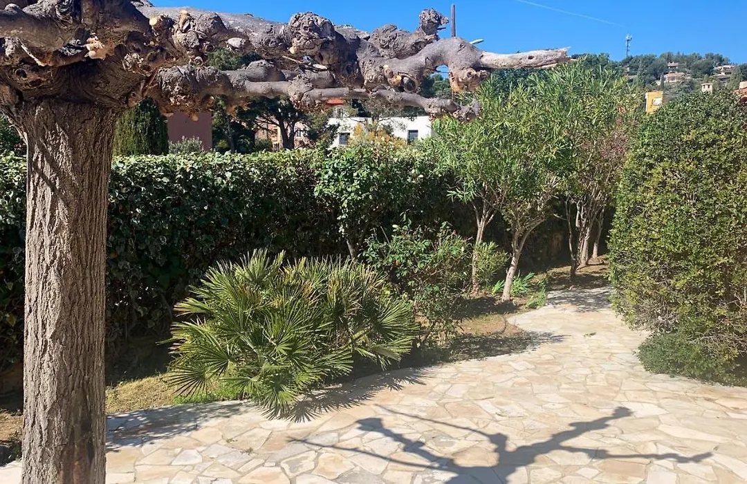 Maison De 3 Chambres A Bandol A 800 M De La Plage Avec Vue Sur La Mer Jardin Clos Et Wifi-1