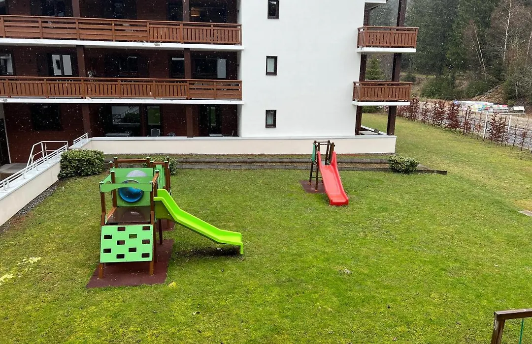 Large Premium Alpine Apartment For 4 To 8 People-1