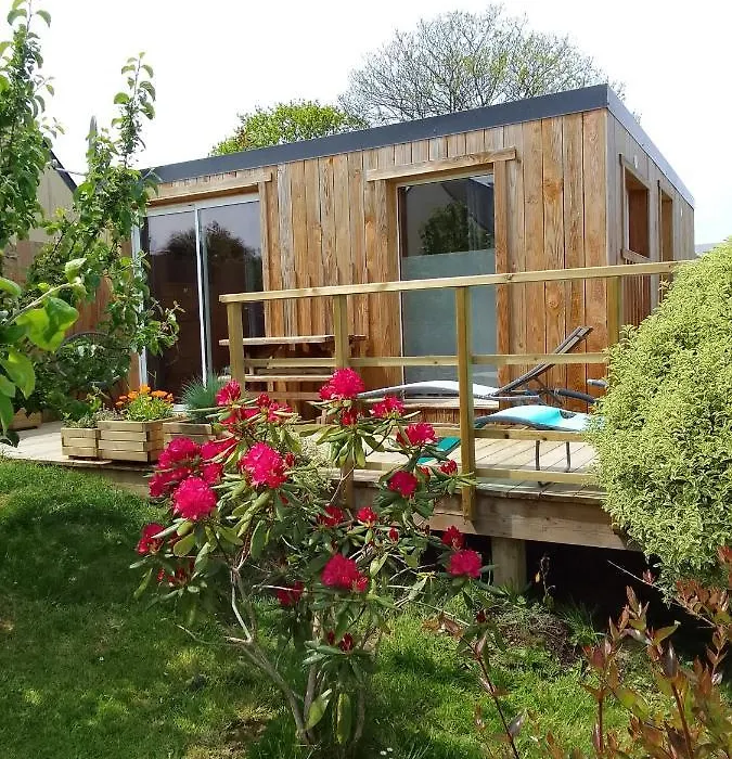 Tiny House Dans Jardin Arbore-1