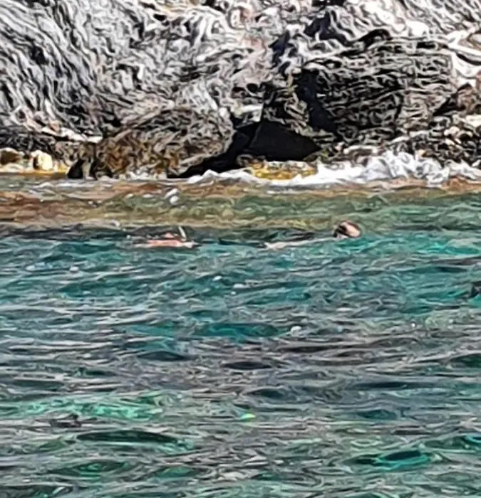 Porquerolles - Nuit insolite à bord du Défi Fou-1