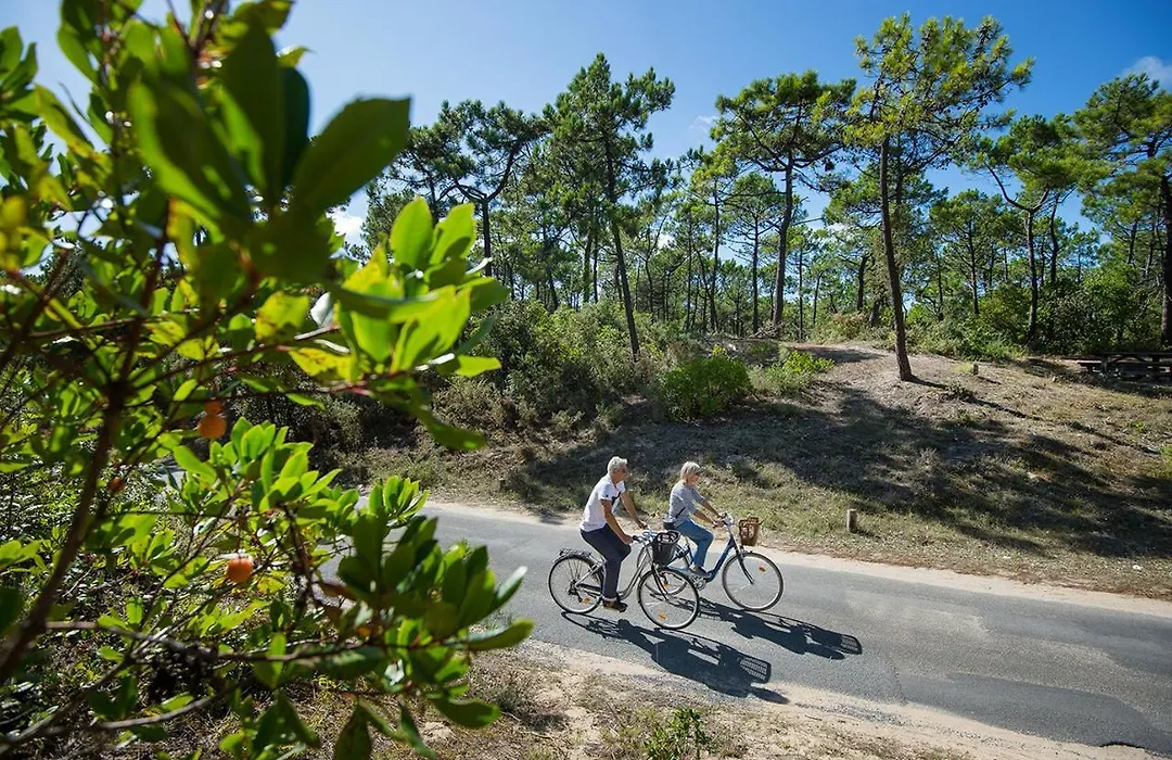 Marais salants et plages - 2 adultes - 2 enfants-1