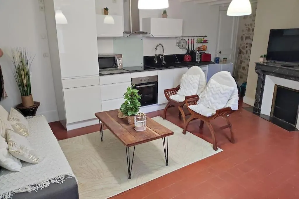 Charmant duplex en centre-ville-1
