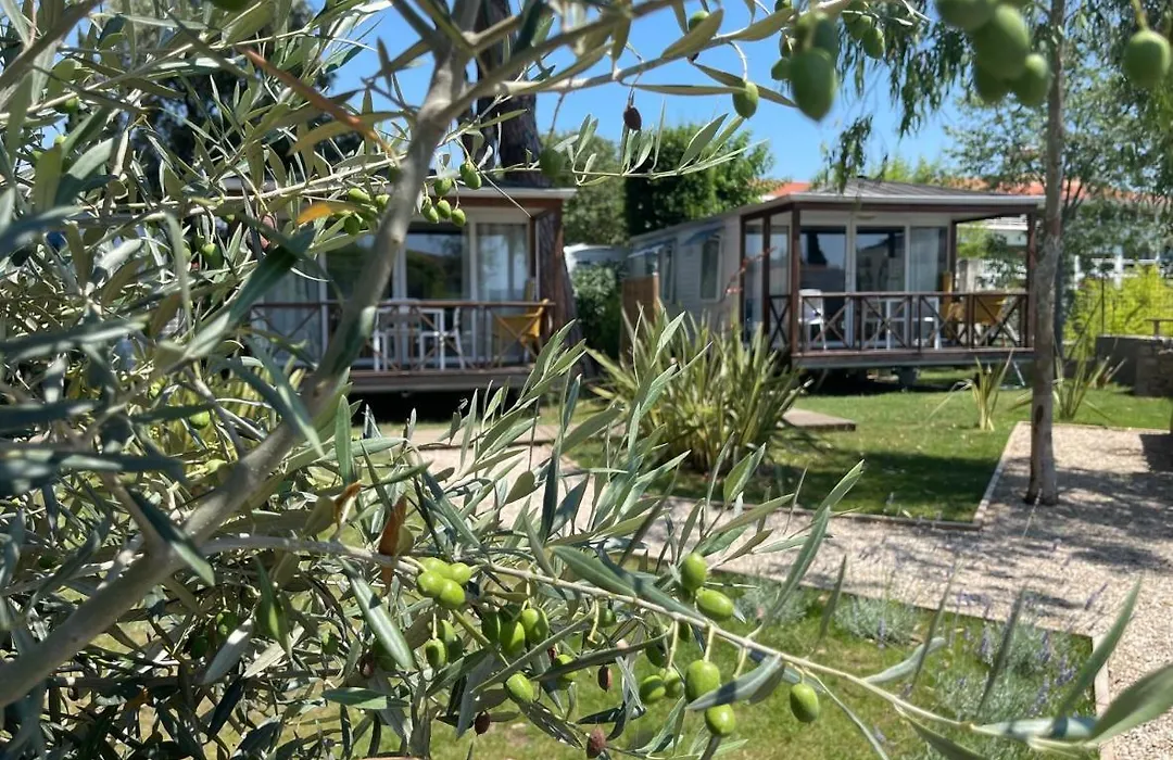 Camping Les Cigales-1