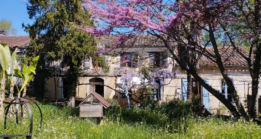 Maison Béline-1