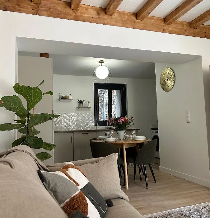 Maison de caractère au coeur du Castelviel à Albi-1