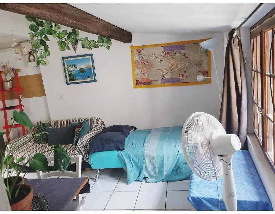 Appartement Cosy Au Coeur De Montpellier-1
