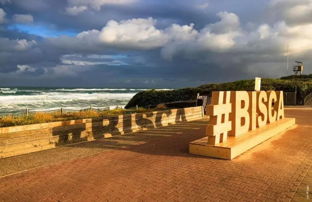 Bisc'Appart standing et calme à 250 m de la plage-1