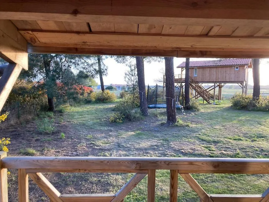Le Gîte de l'Aérogrange-1