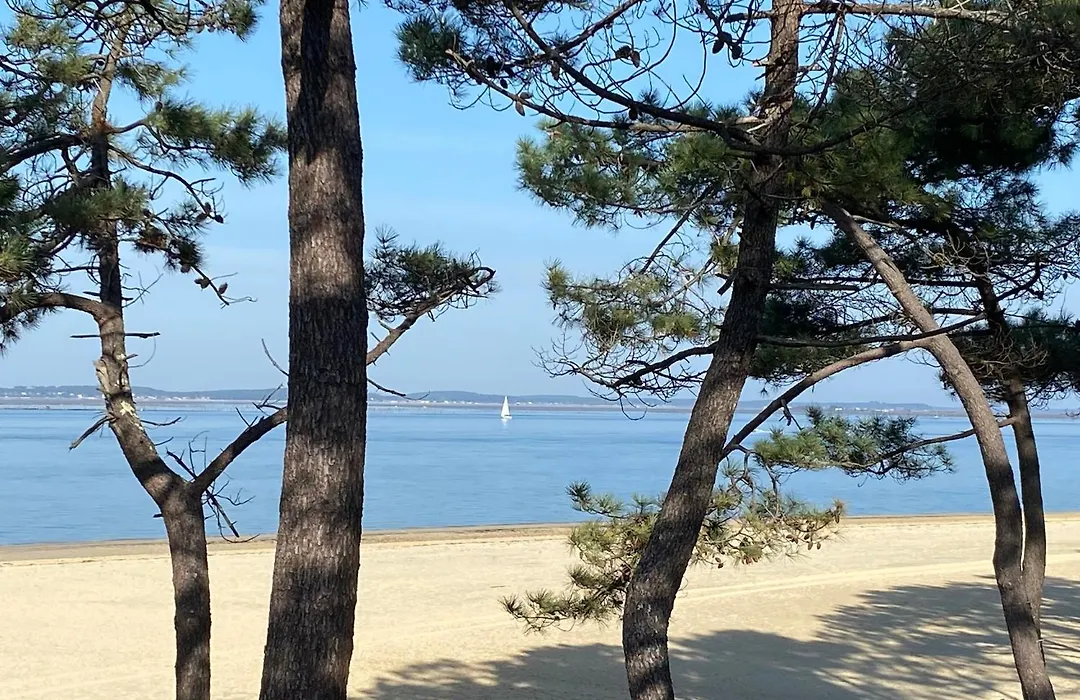 Appartement-Charme&Confort-Proche Parc Ornithologique-Dune du Pilat- Clim- Parking privé-1