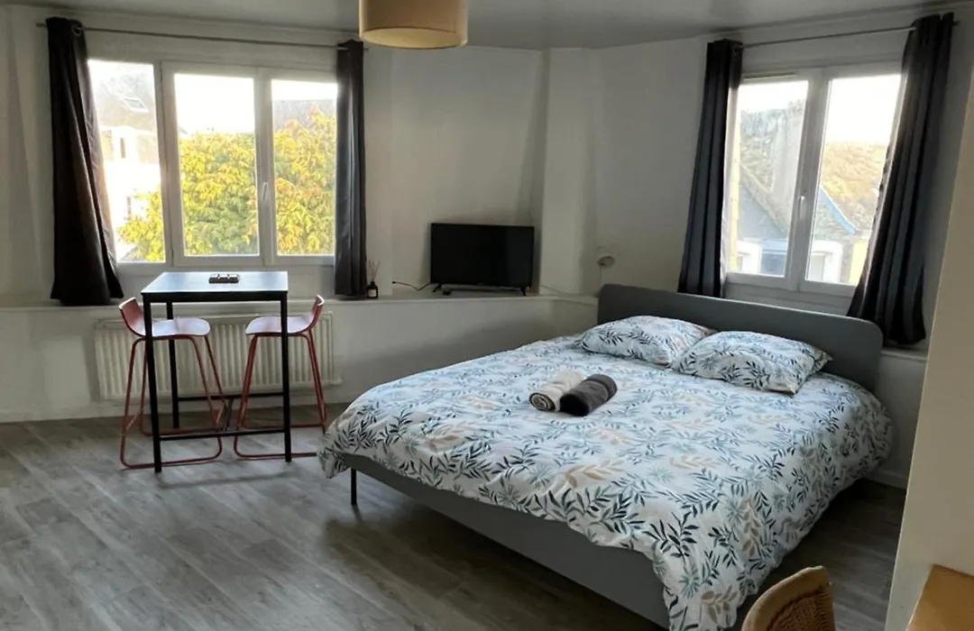 Le Stud' Joli appartement lumineux en plein centre ville-1