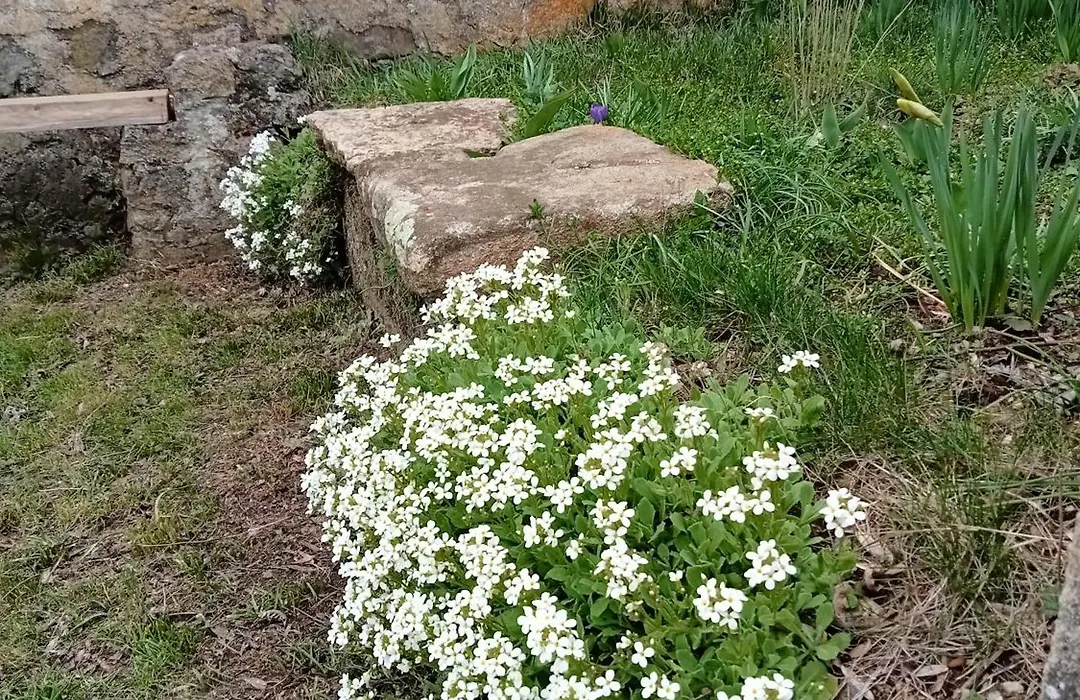 Gîte le lénio-1
