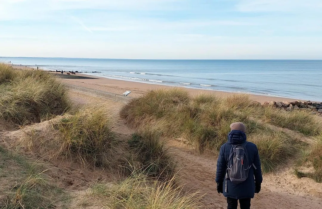 Les 3 mouettes à Cabourg - côte normande-1