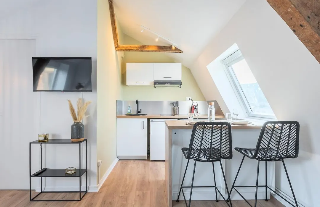 Old Lille - Equipped And Bright Studio !-1