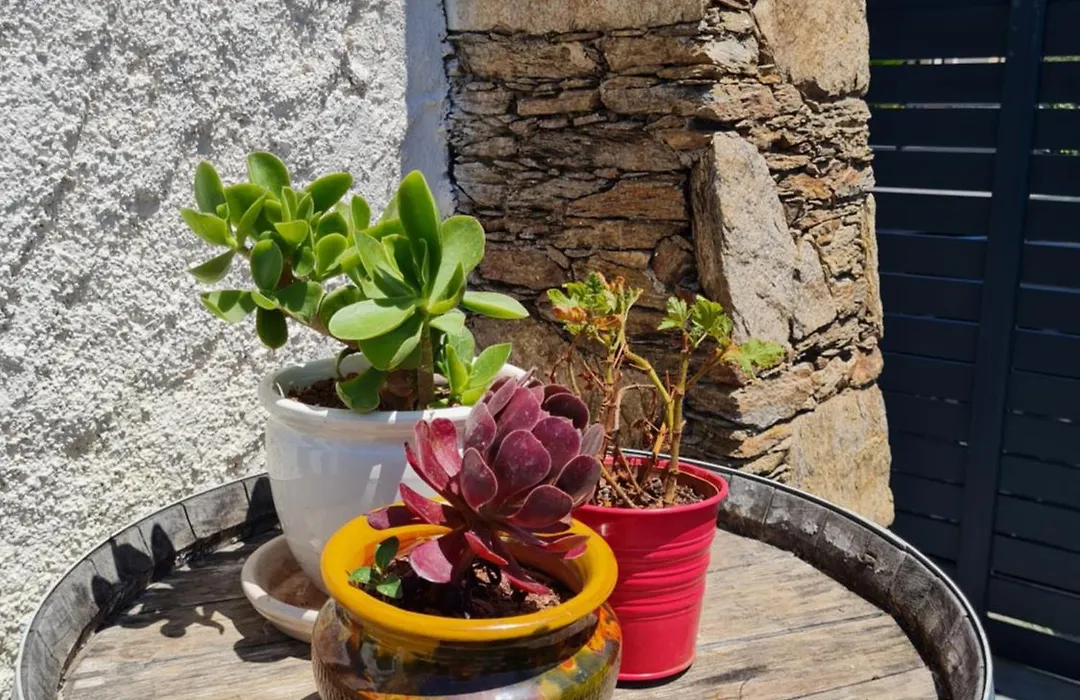 T2 Recent + Plage A 10Min + Clim + Rez De Jardin-1