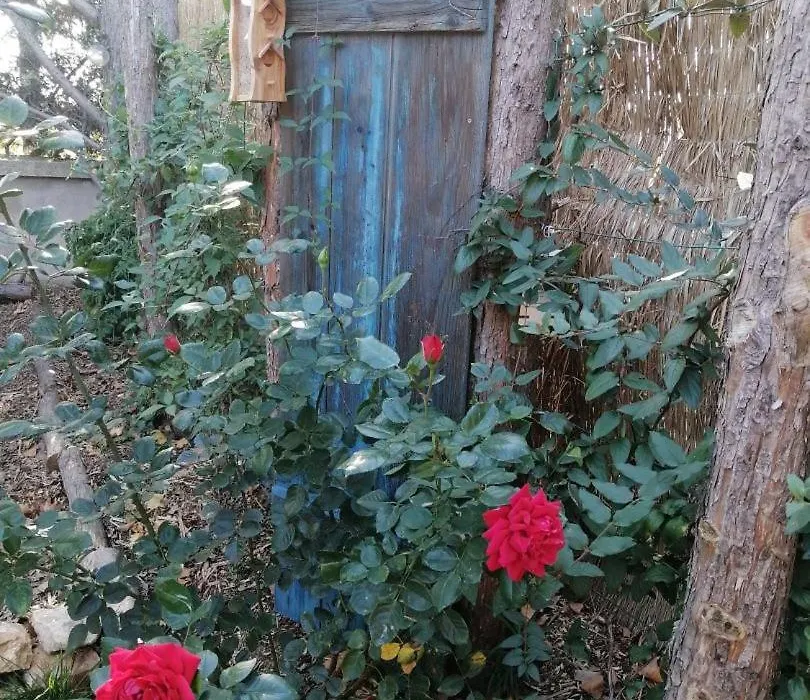 L'Embellie un gîte tout confort et cocooning-1