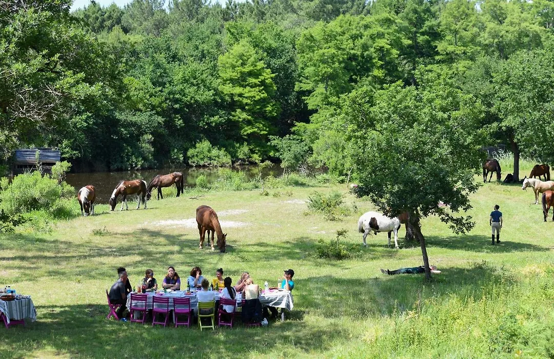 Gite Equestre Marina-1
