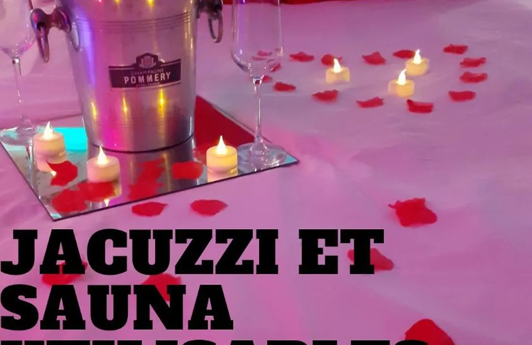 Le Bijou Appartement avec Jacuzzi et Sauna privatif Terrasse plein sud Clim Parking Privatif-1