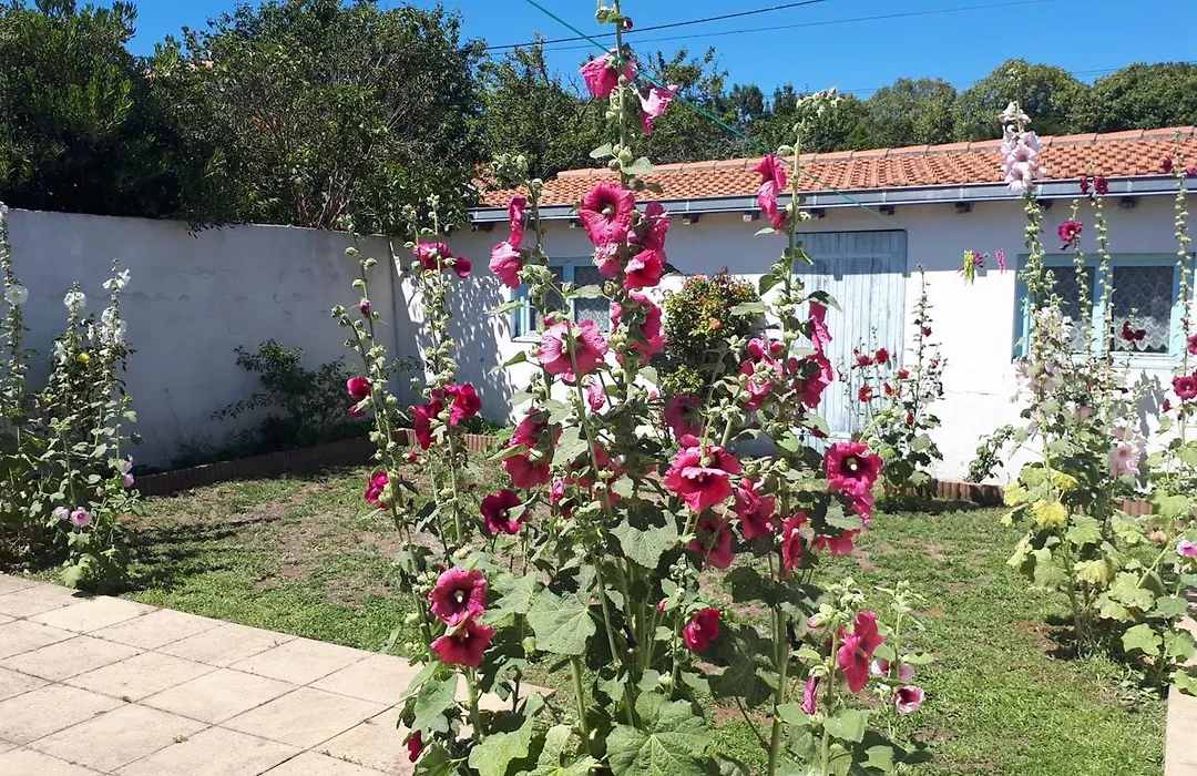Maison de vacances familiale-1