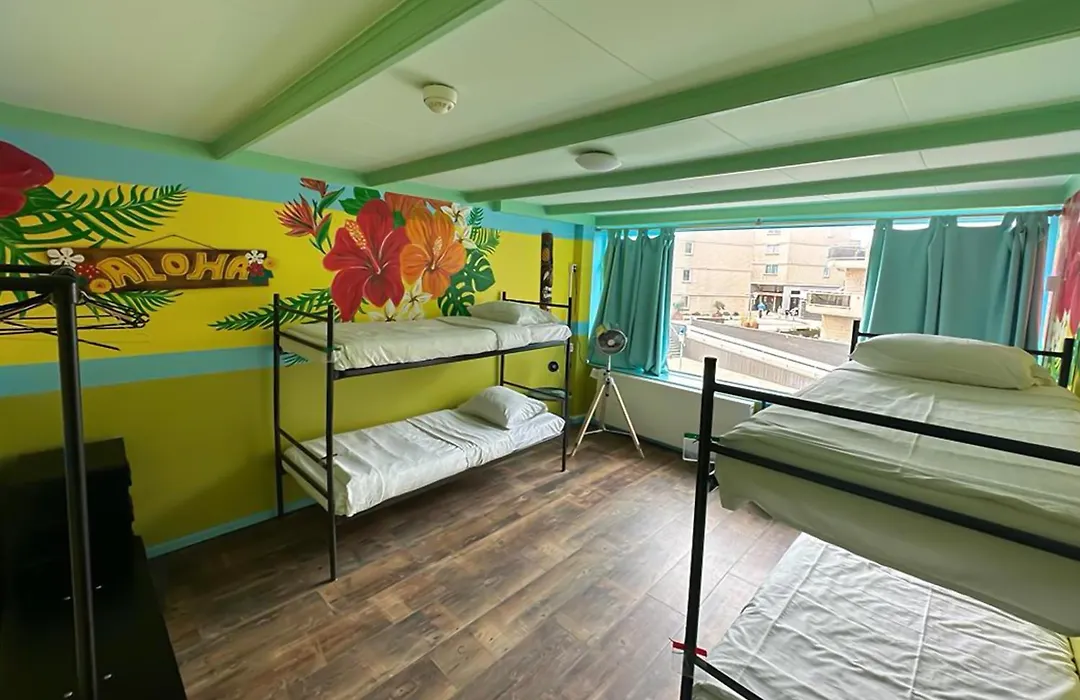 The Flying Pig Beach Hostel Age 18 To 40-1