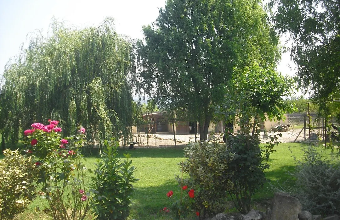 Lou mas li Pitchoun Le cortassien-1