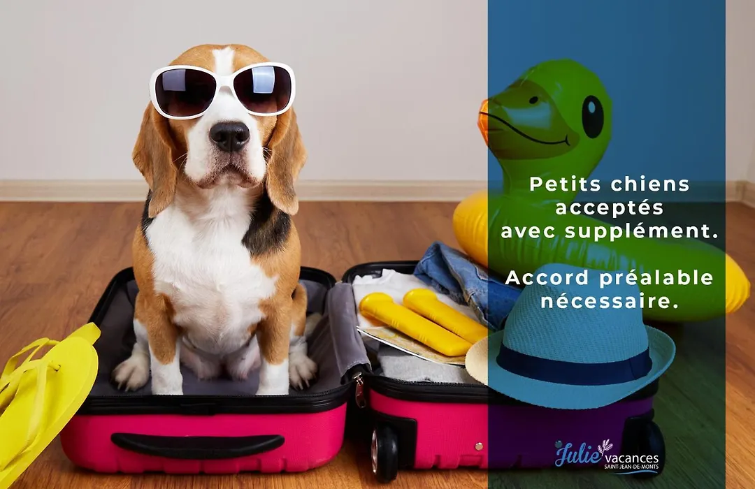 LES FLOTS BLEUS - Appartement 2 chambres vue mer-1