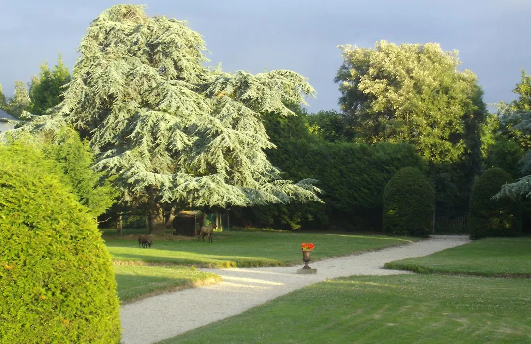 Manoir de la Baronnie-1