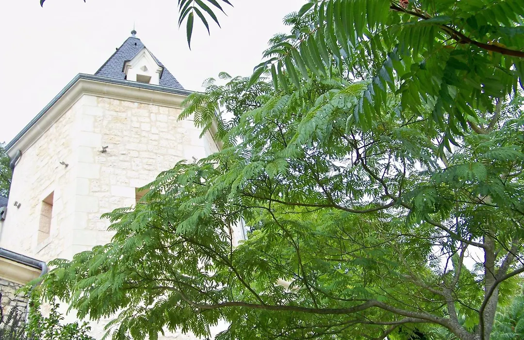 Logis Hôtels Troglododo-1