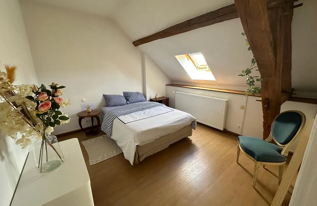 Chaleureuse maison rustique, vue vestige romain-1