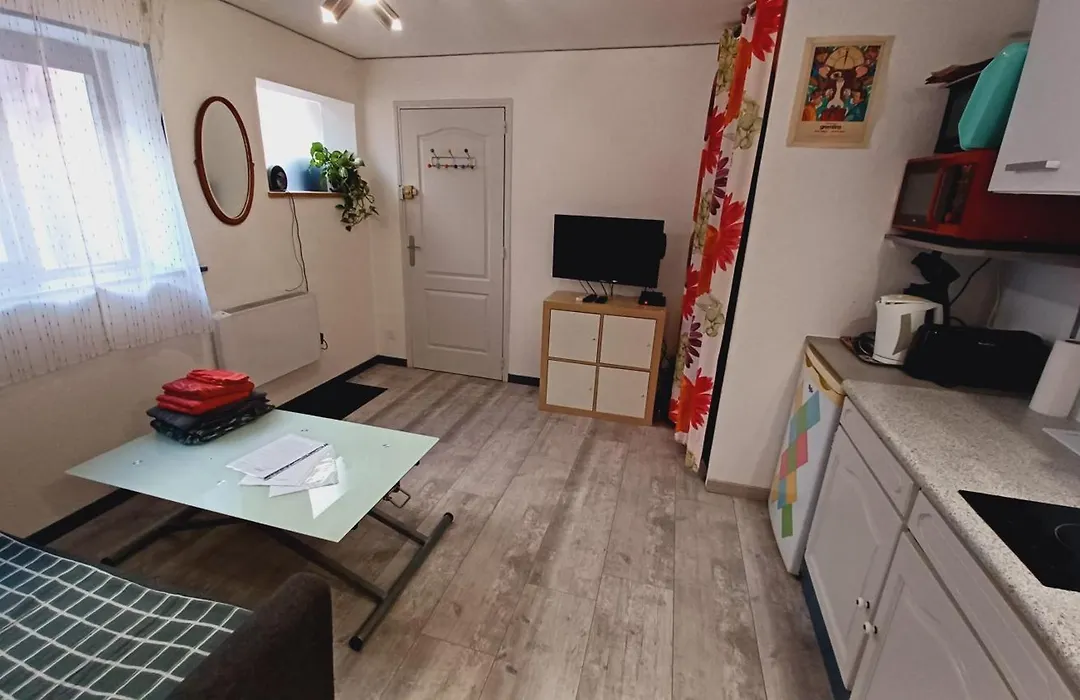 Studio Cosy tout confort Gaillac centre.-1